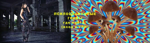 герыч Алзамай