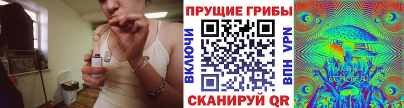 Псилоцибиновые грибы Cubensis  Фатеж 